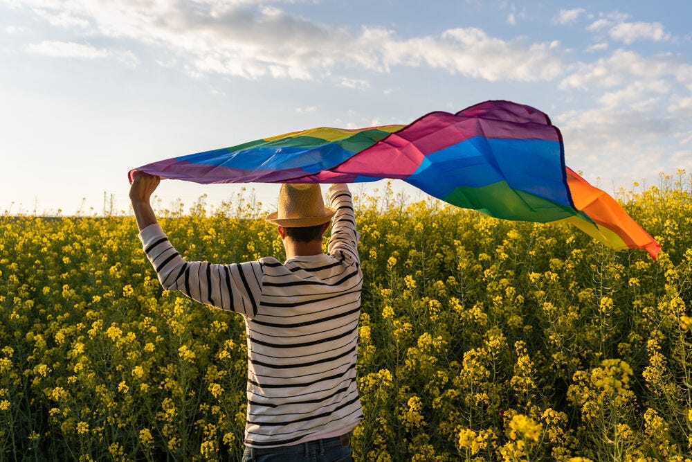 A person in a hat, striped shirt, and holding a rainbow flag walks among a field of flowers
