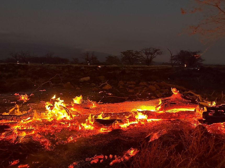 A wildfire burns in Kihei on August 9.