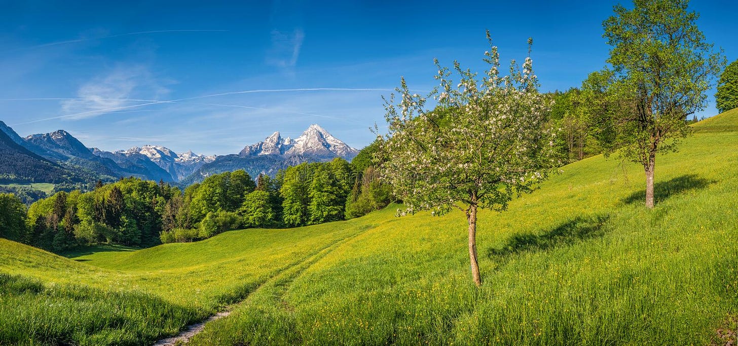 Springlike Alpine Mountain Landscape with Flowers and Blooming Fruit Trees  Stock Image - Image of grass, alpine: 75930875