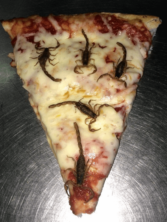 Scorpion pizza : r/WTF