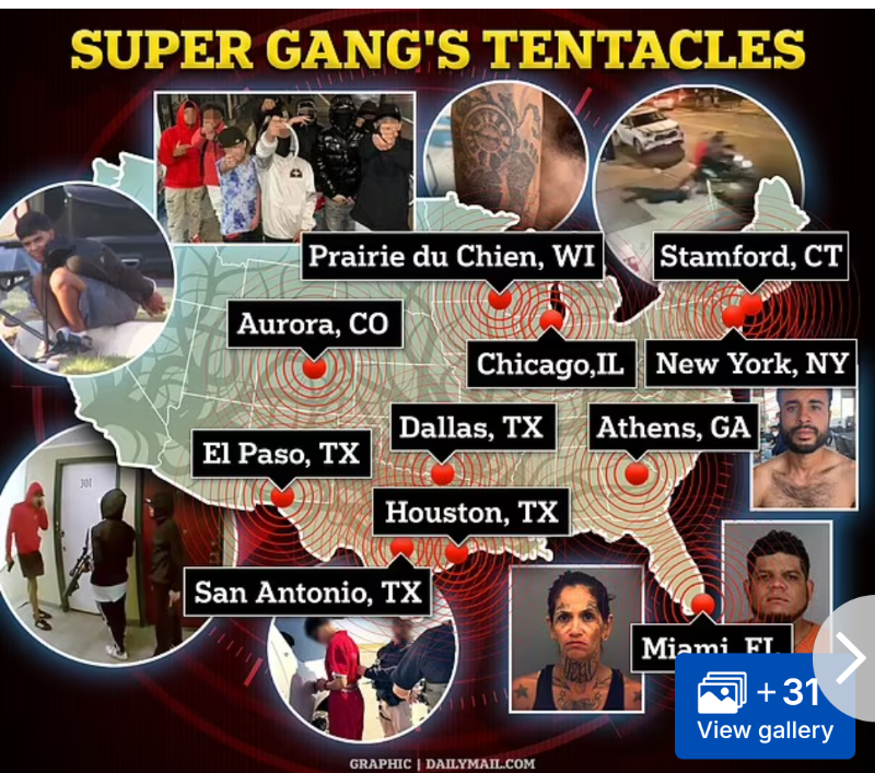 Cartels & Gangs are here by Freedom & Liberty for all
