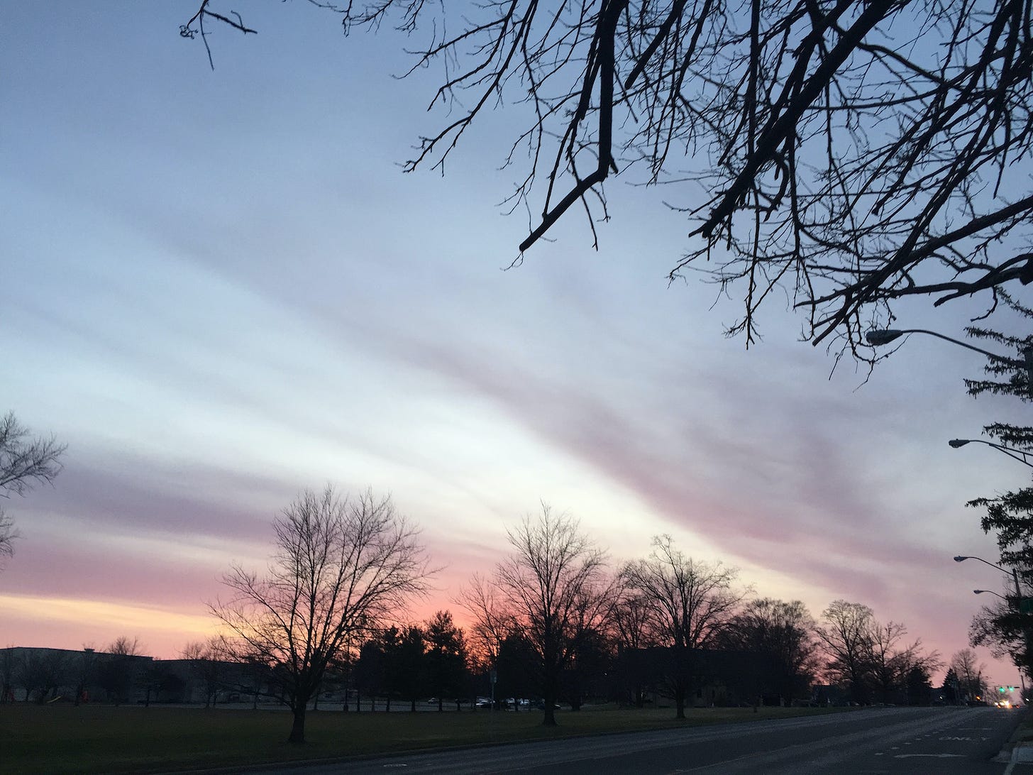 Tree branches in the foreground and trees on the horizon; sunset color fading in a sky containing streaks of cloud