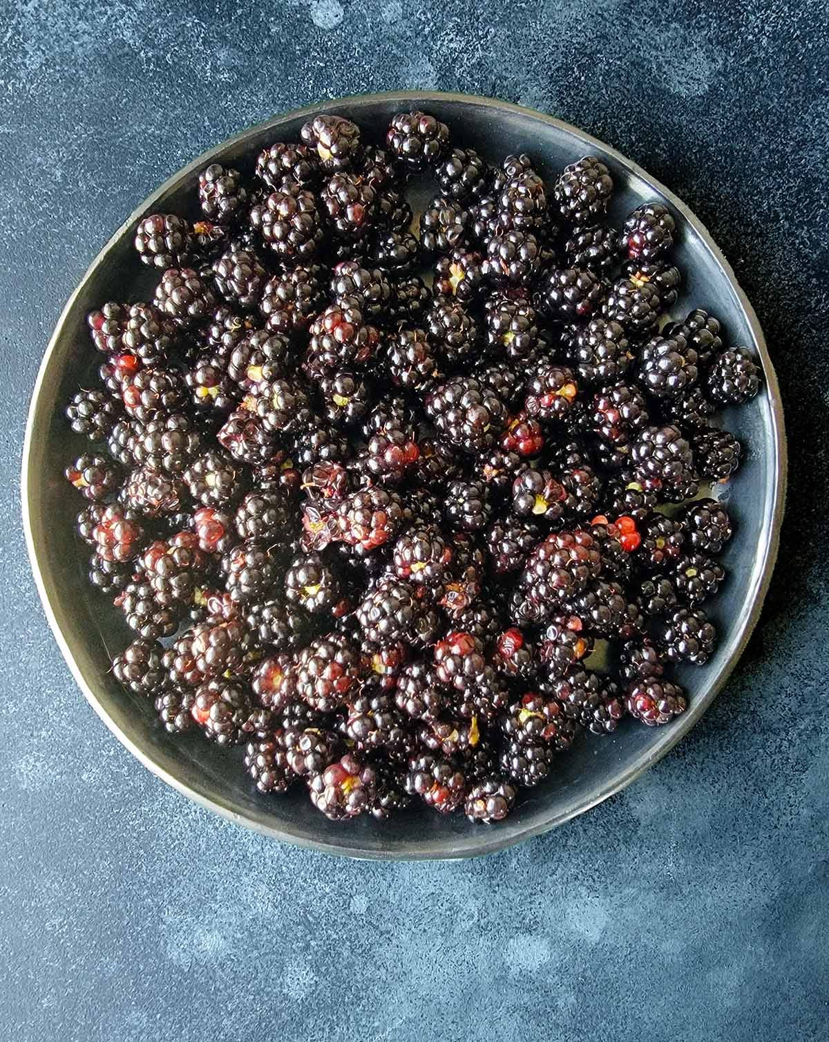 A bowl of Minnesota blackberries. 