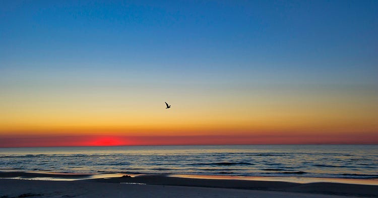 sunset over the water