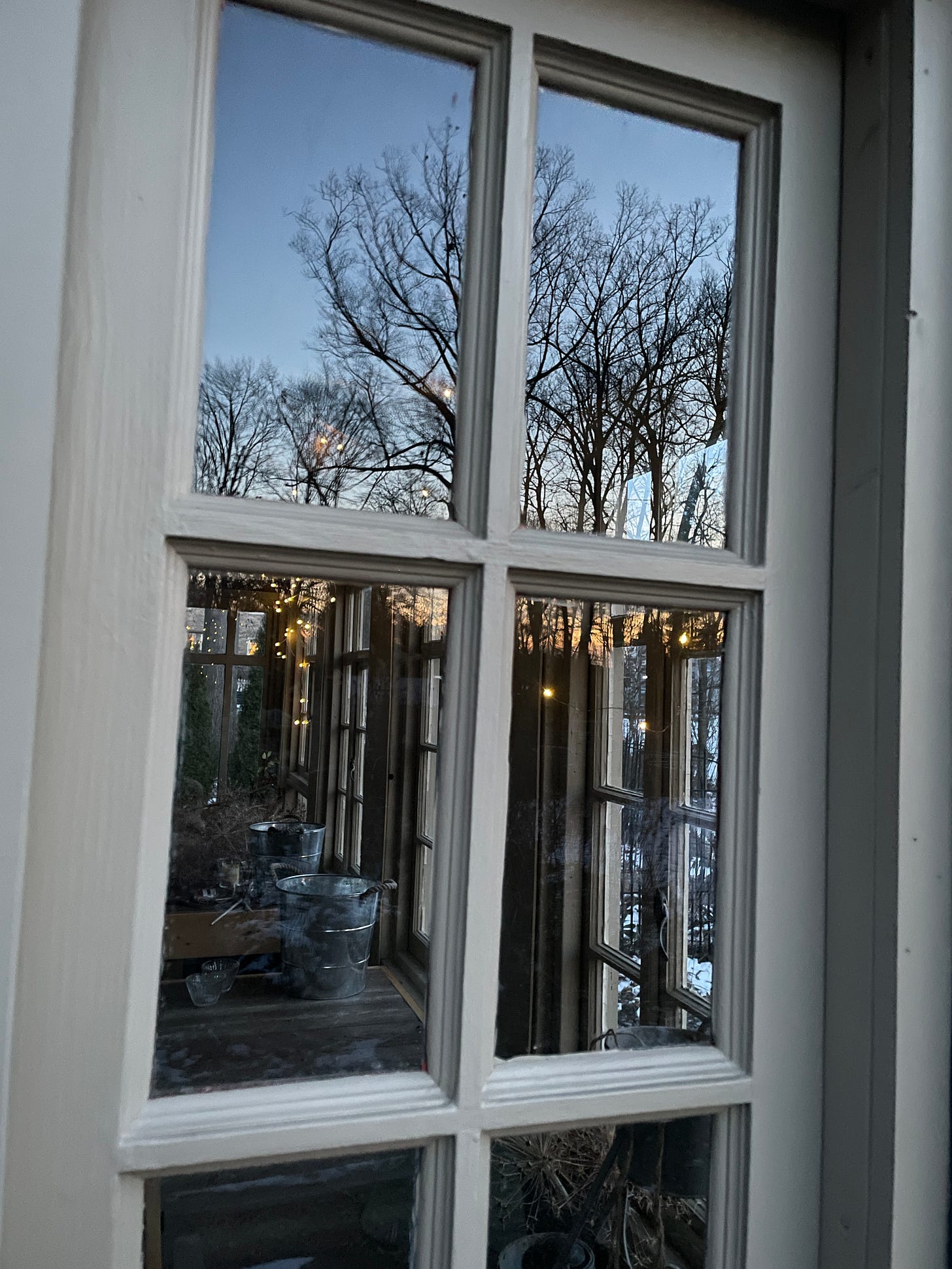 Trees at twilight reflected in the vintage window of the Potting Shed. 