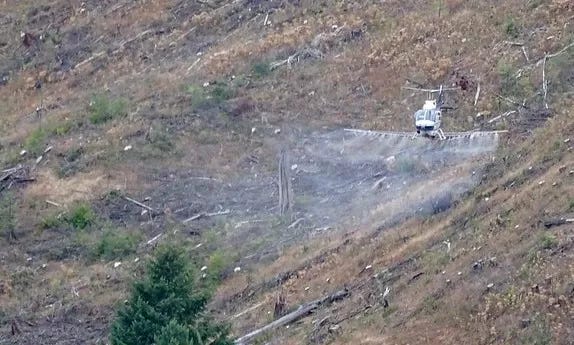 Seneca Lumber Company aerial spraying chemicals on their clearcut. Mist is sprayed out from a white helicopter over a brown clearcut hillside.