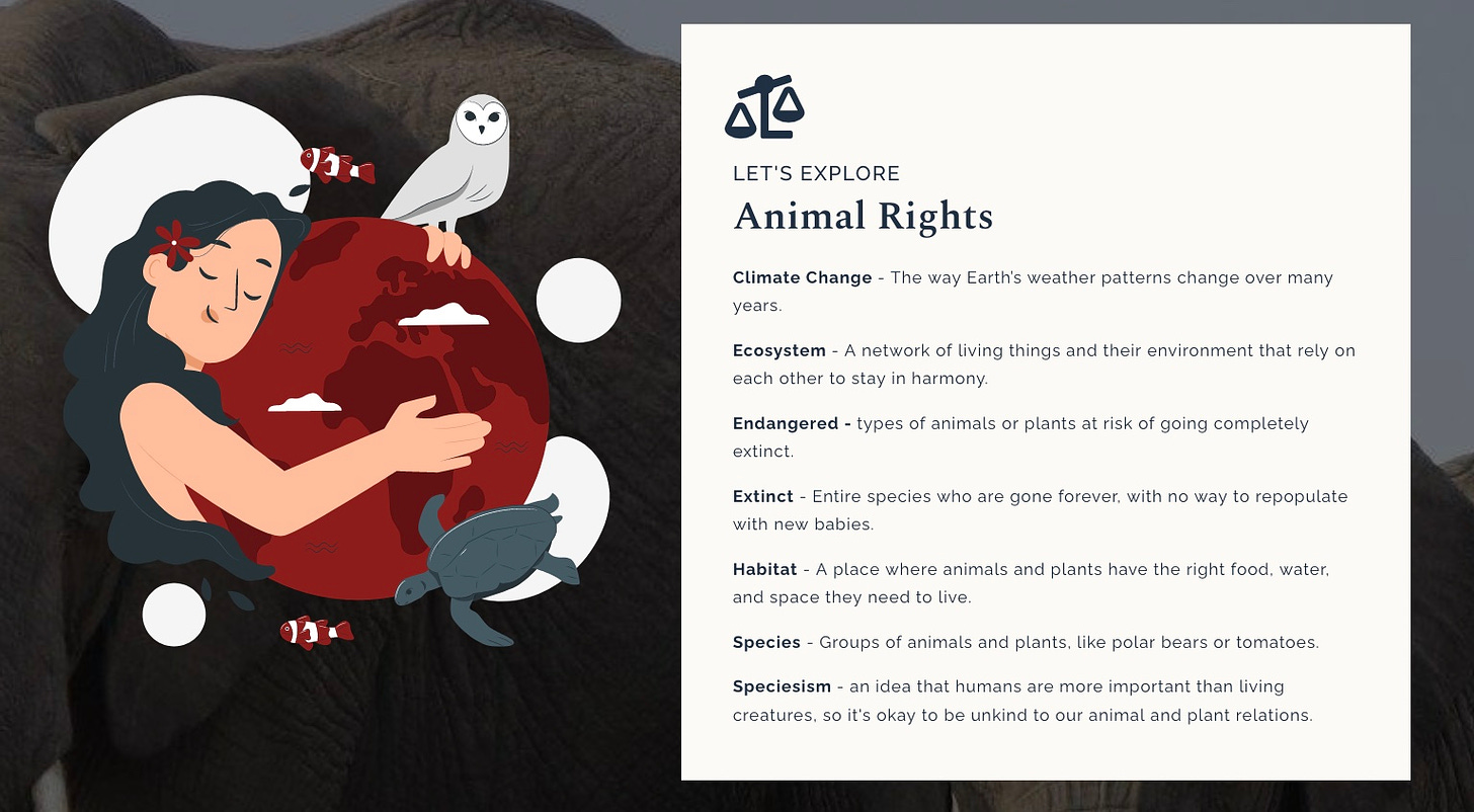 let's explore animal rights toolkit preview wordbank