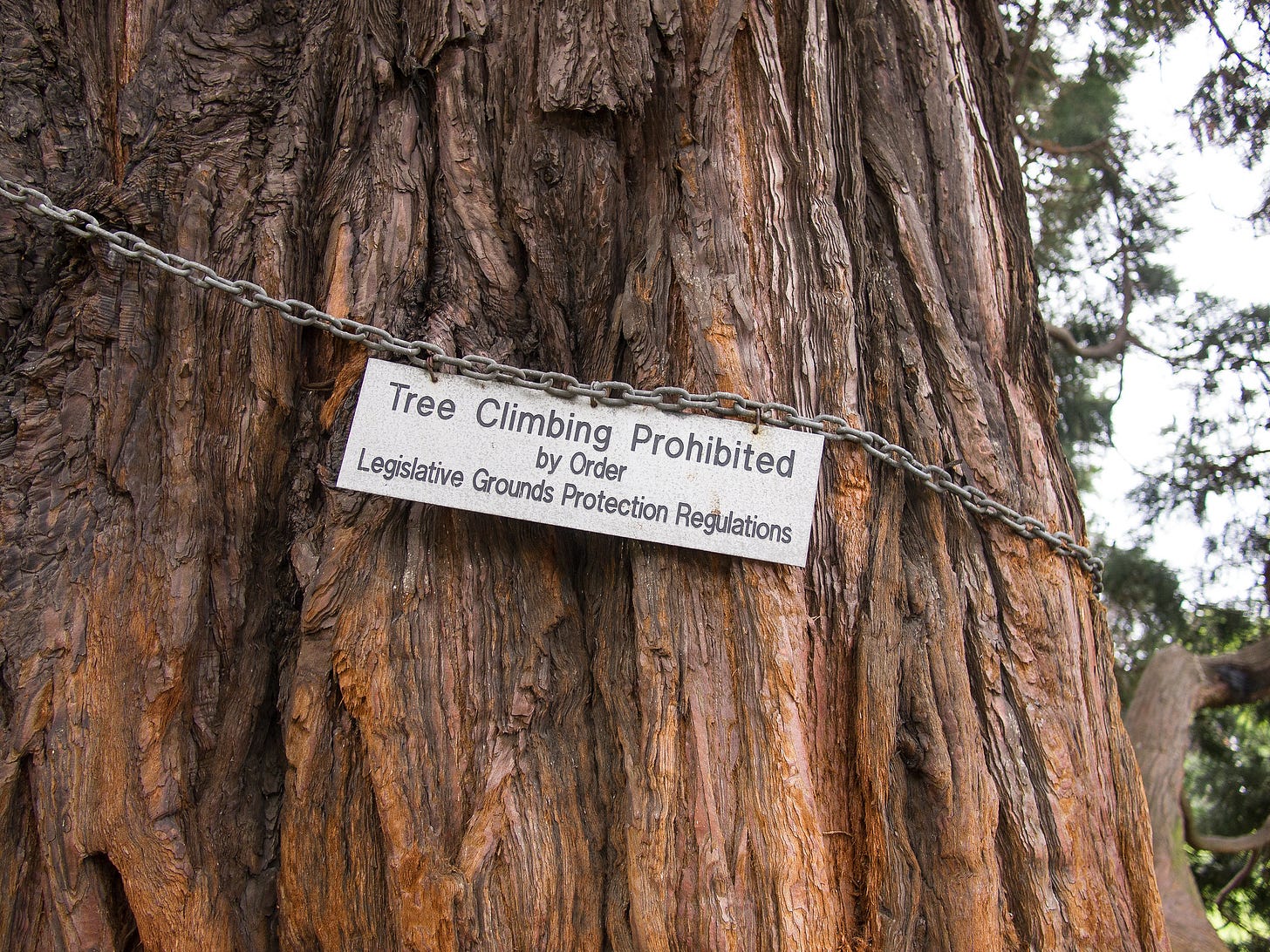 No tree climbing sign