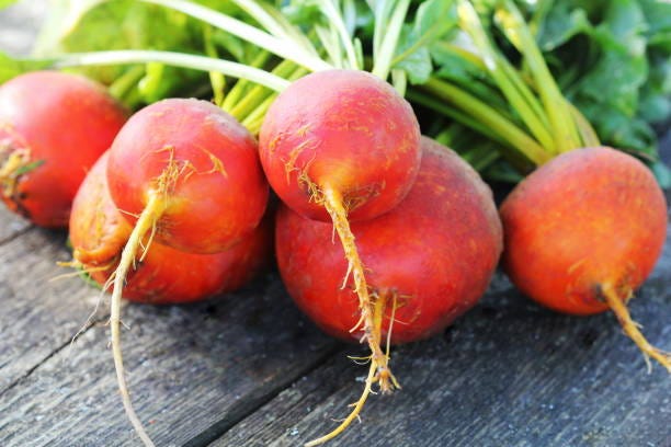 A bunch of delightfully fresh golden beets