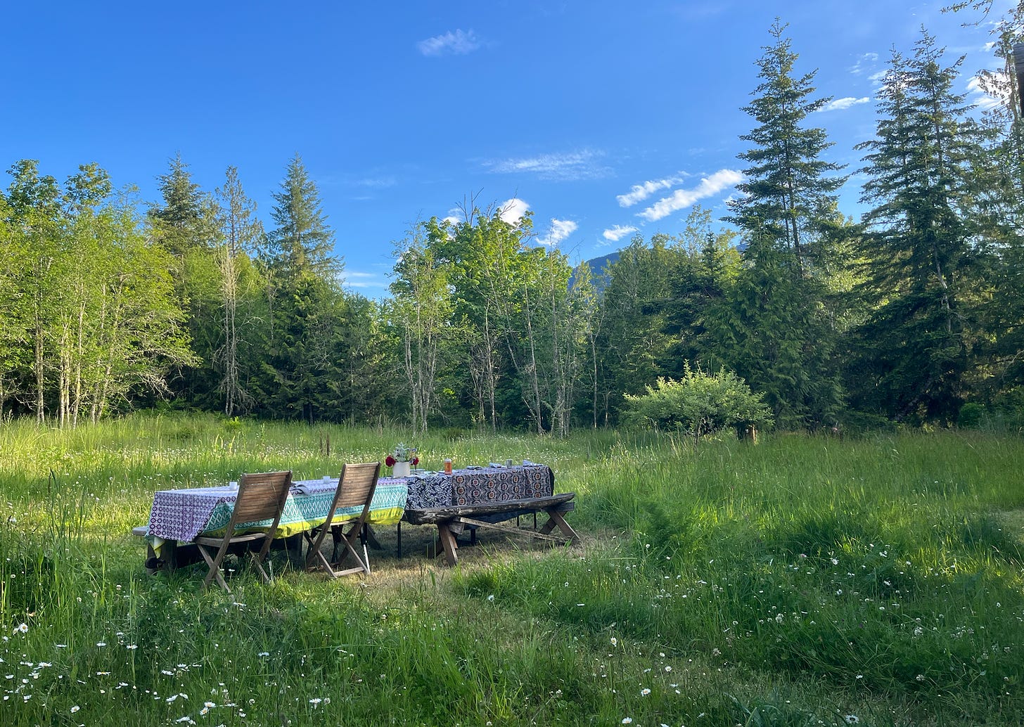 A picnic table in a meadow.