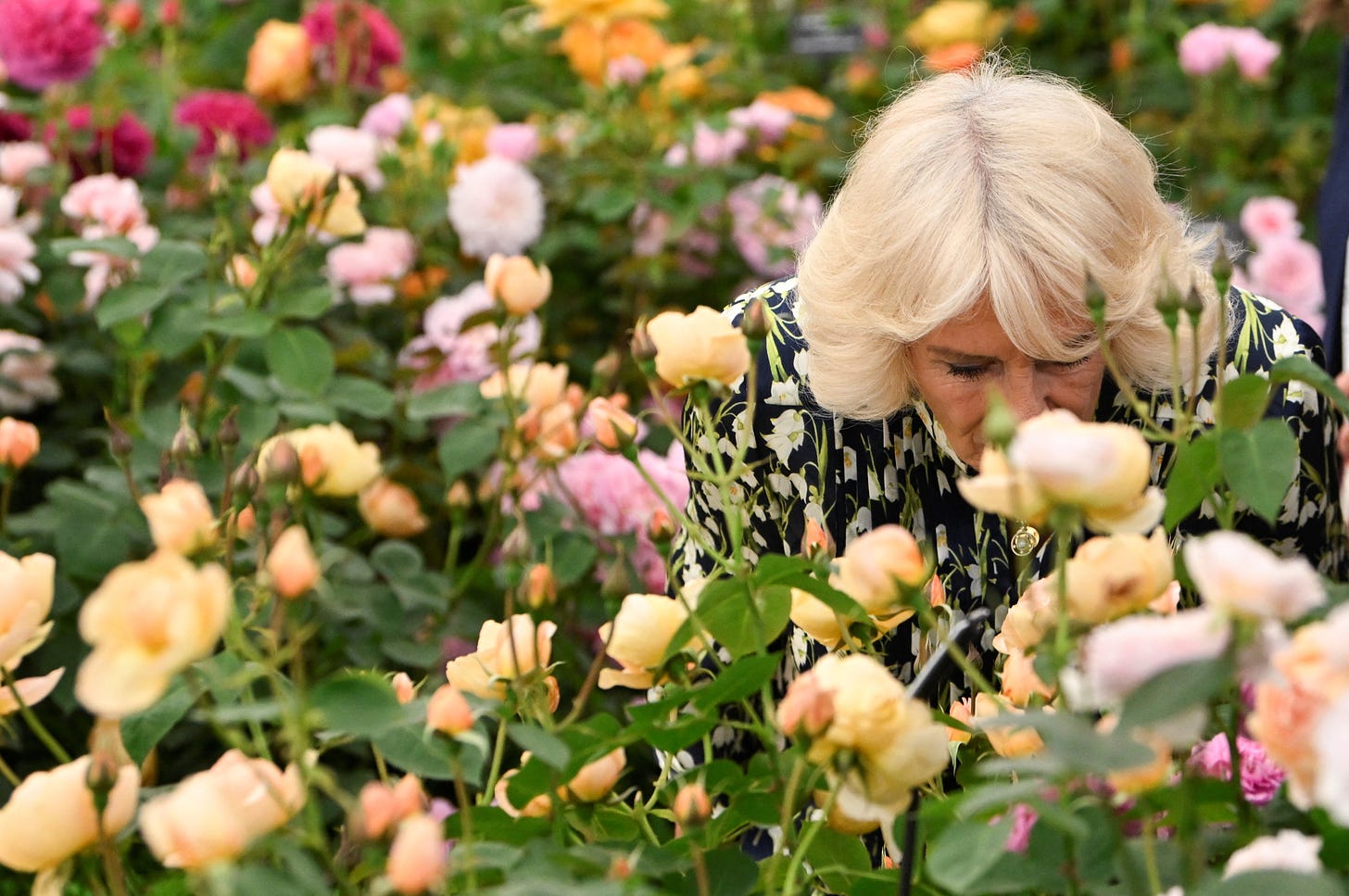 Queen Camilla smelling flowers