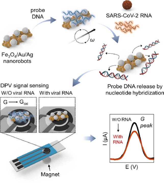 Image, graphical abstract