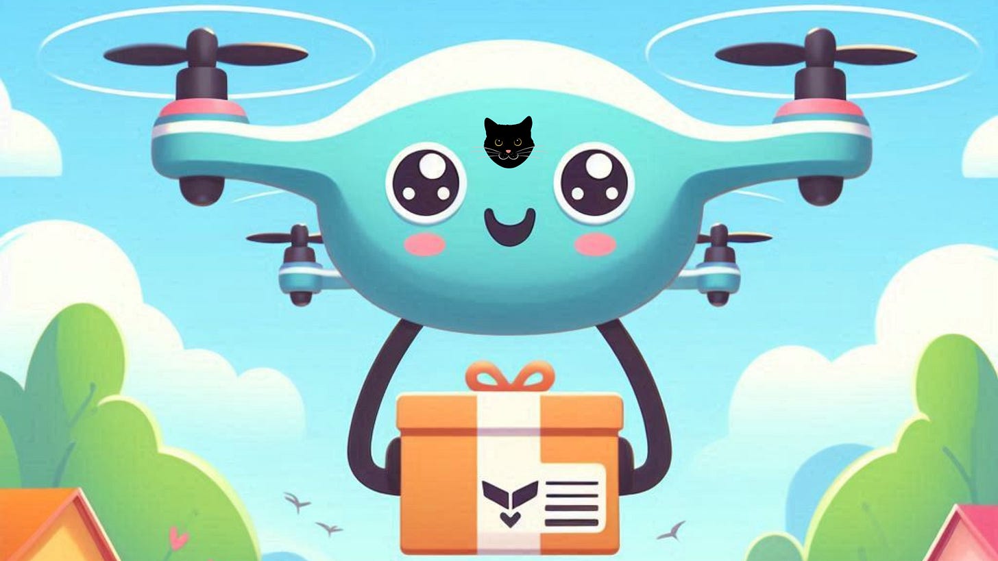 Image of cartoonish drone and a cat face