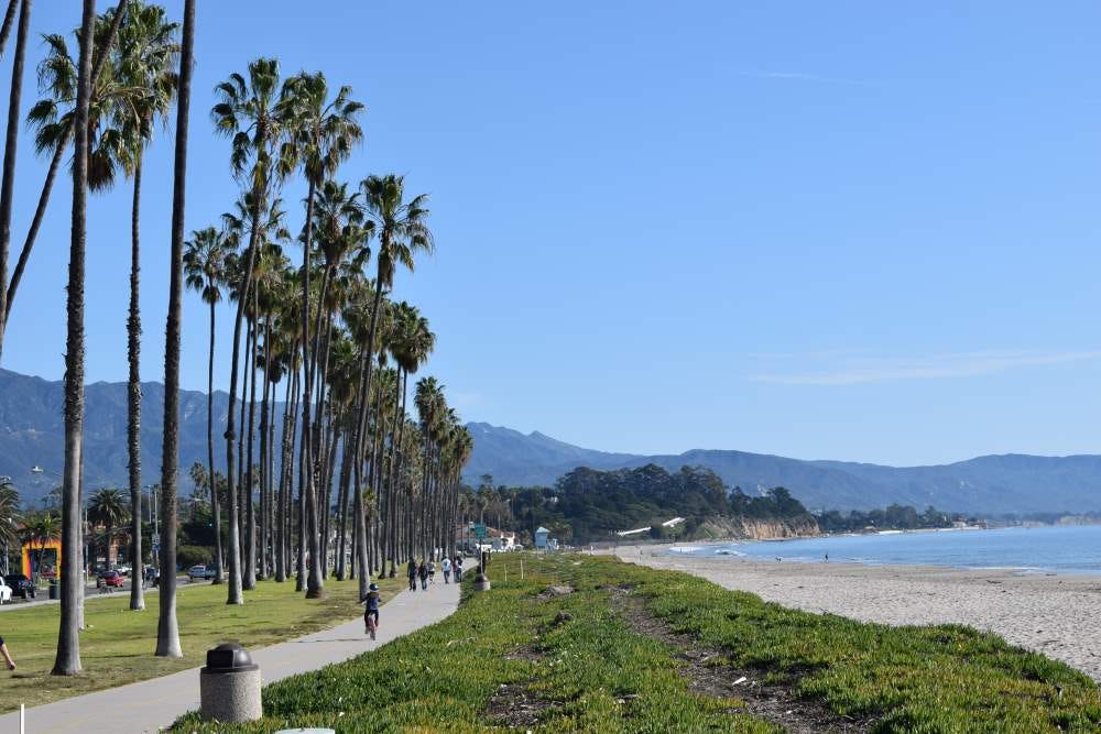 beach with biking path and palm trees