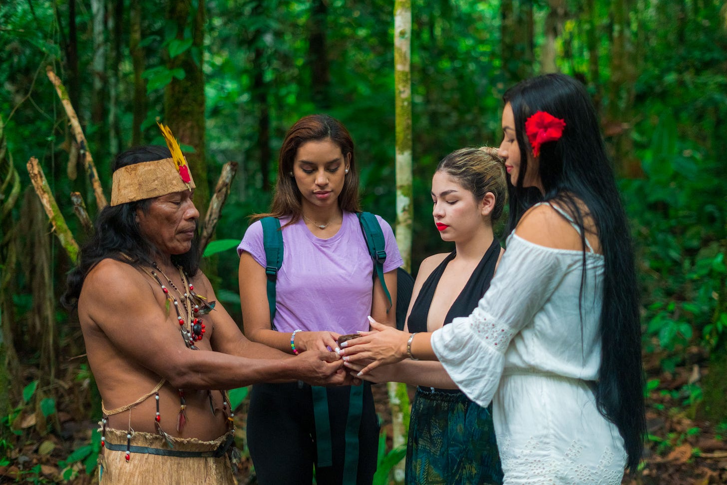 Ayahuasca Ceremony Ecuador, Shamanic Ritual