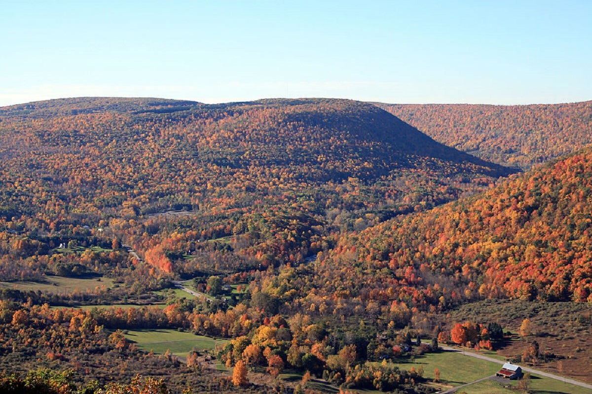 More than 1,350 acres added to Wildlife Management Area system throughout  Finger Lakes | Fingerlakes1.com