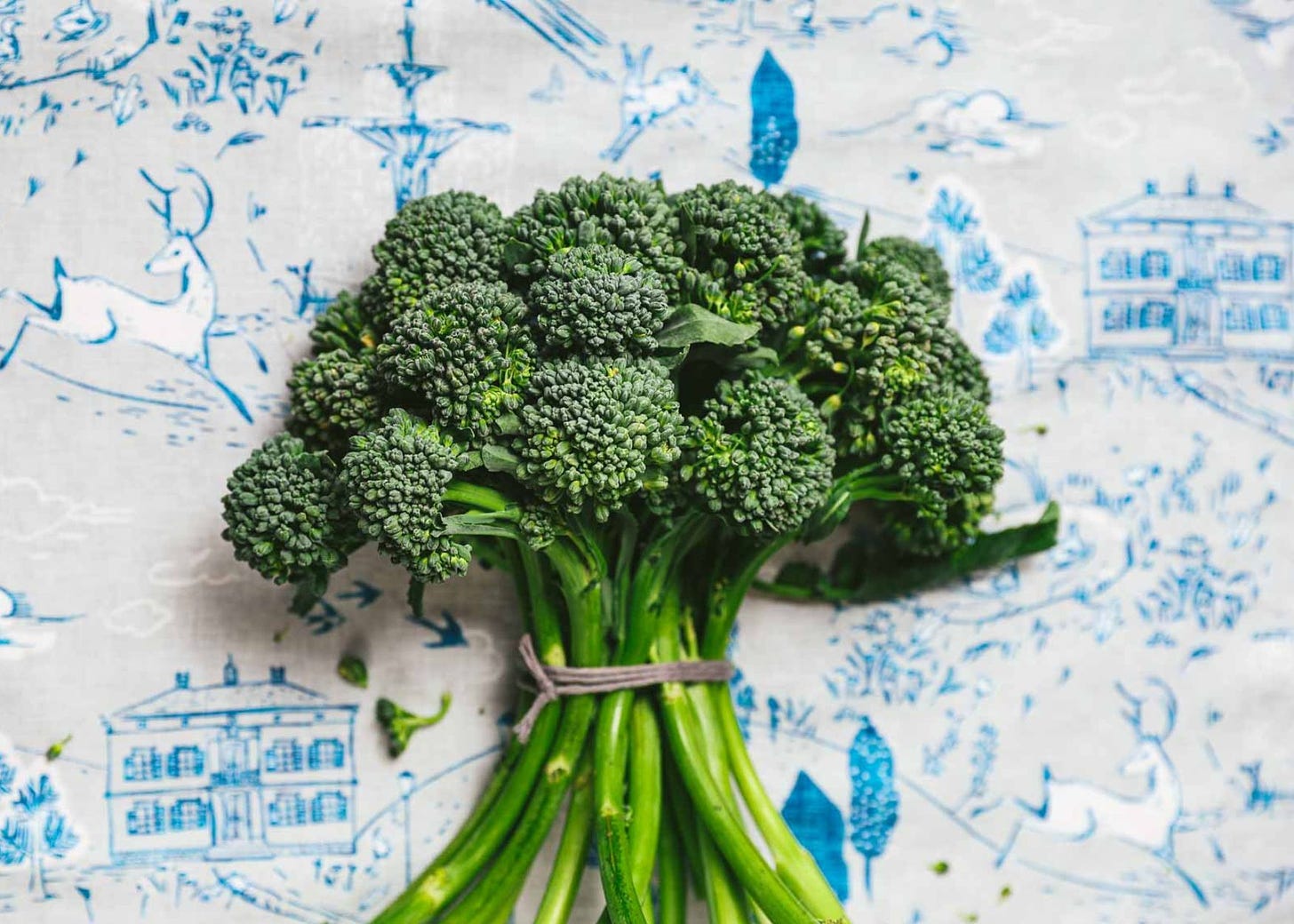 A bunch of fresh broccolini laying on a whimsically designed linen.