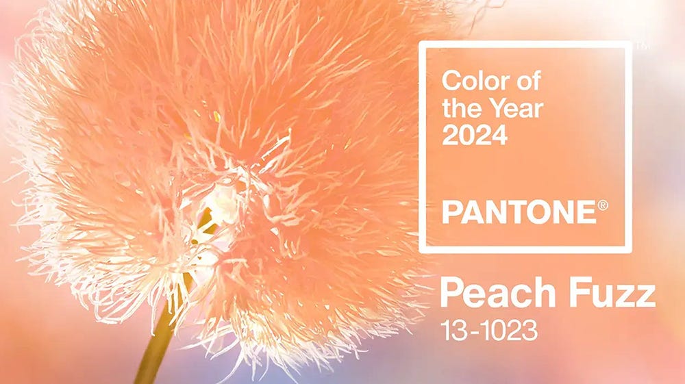 Pantone Names Colour of the Year 2024 | The Gaze
