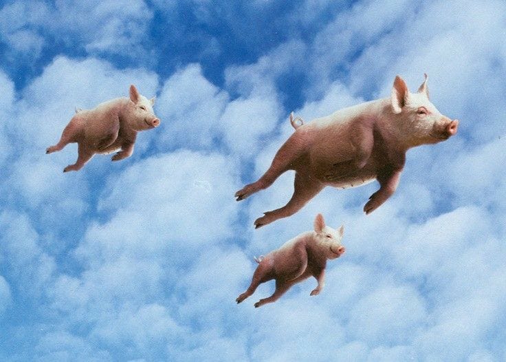 When Pigs Fly - A Playful Image of Flying Pigs