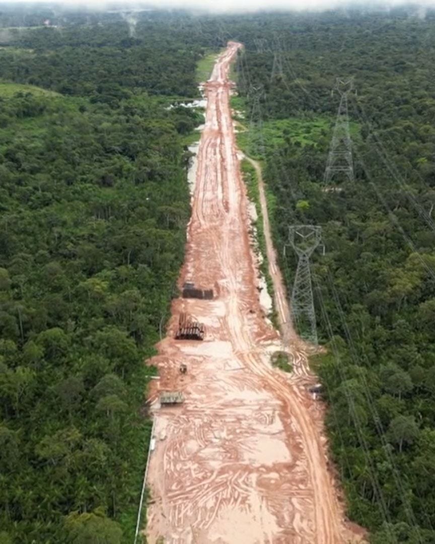 Brazil clears miles of Amazon rainforest for road to Cop30 host city