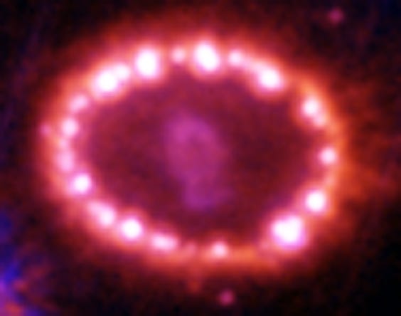 An ellipse of bright clumps of gas colored red around the goldfish-shaped fuzzy material from the supernova. An ellipse of bright clumps of gas colored red around the goldfish-shaped fuzzy material from the supernova.