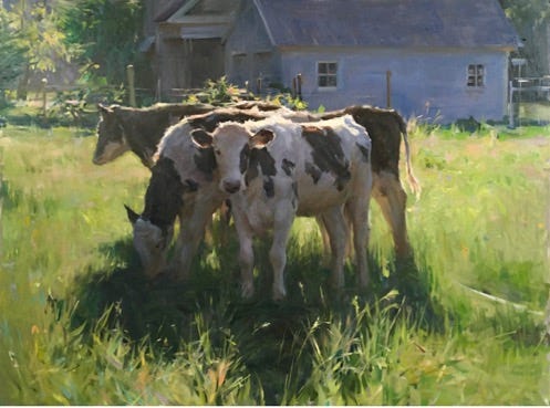 A group of cows grazing in a field

Description automatically generated