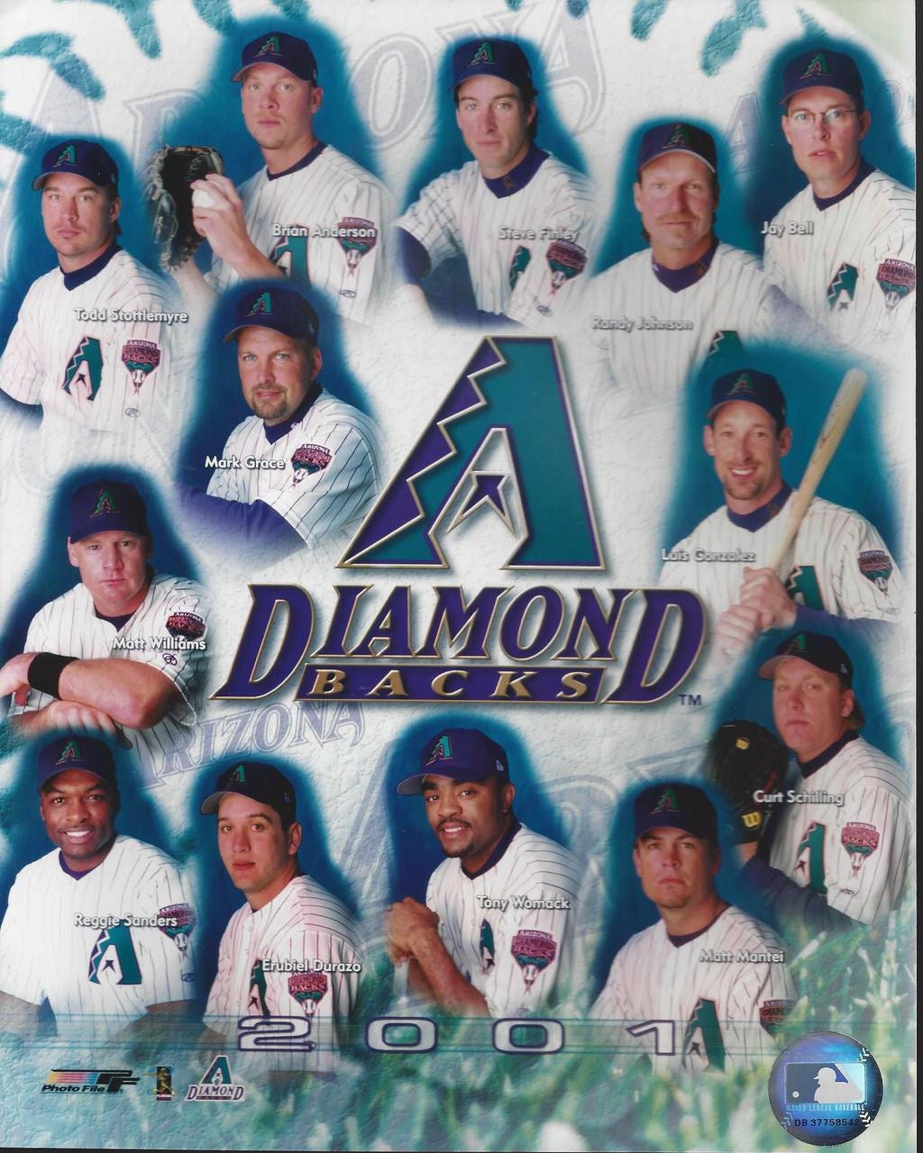 Arizona Diamondbacks 2001 Team 8x10 Photo - BiggSports