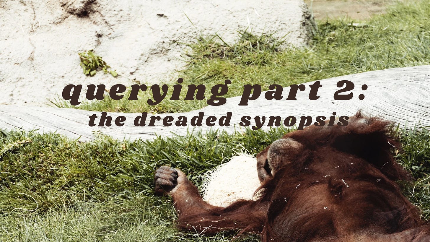 “Querying part 2: the dreaded synopsis” on a background of an orangutan flopping back on grass looking tired
