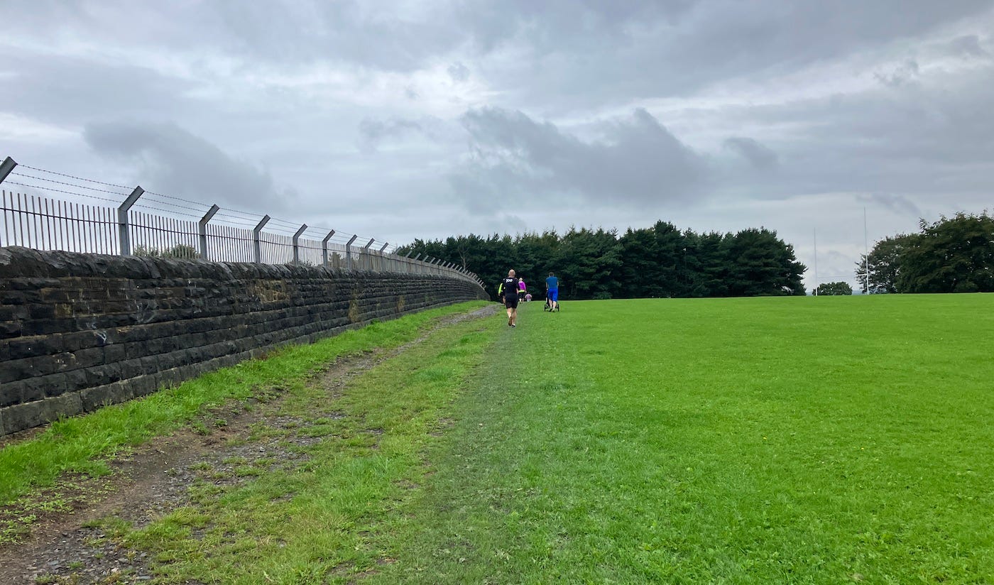 Grassy field bordered by secure fence Grassy field bordered by secure fence