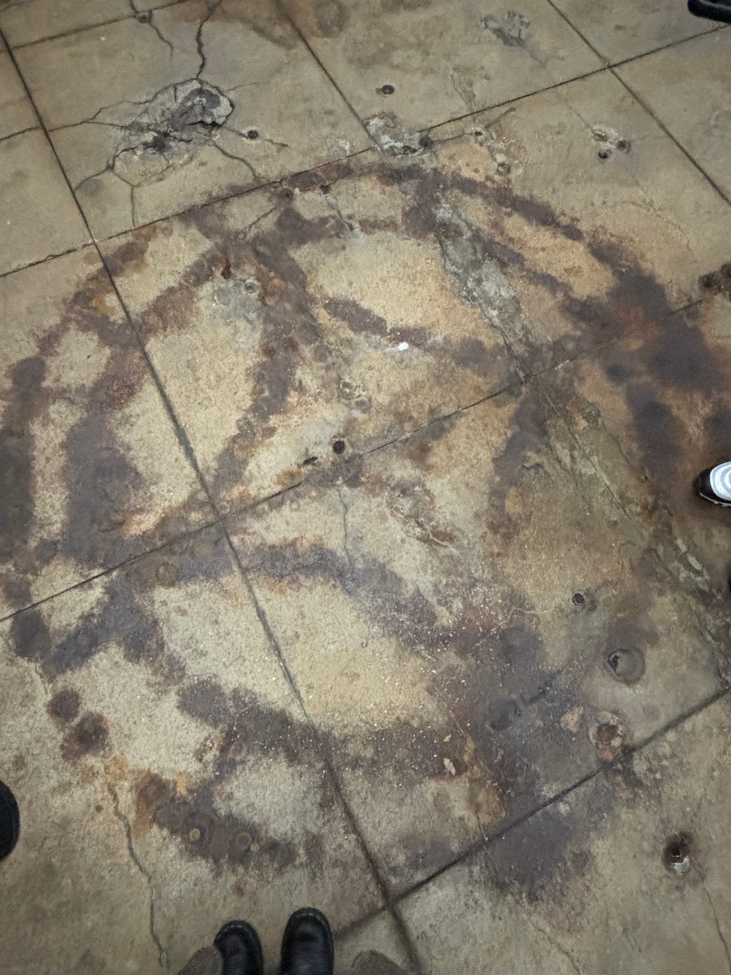 The floor beneath the skylight. The pattern has been burned into the ground by sun and rain.