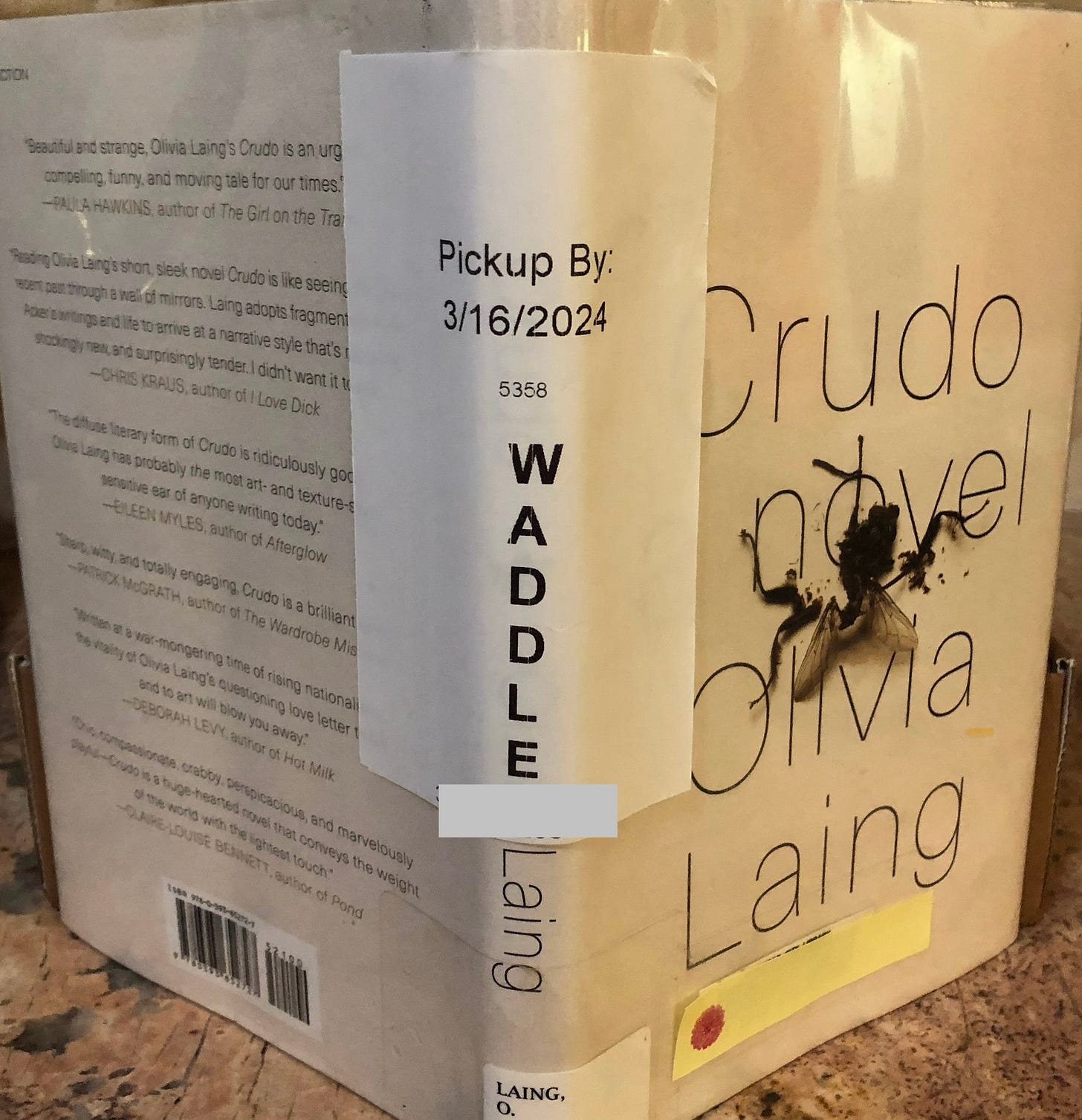 The cover of the novelette “Crudo,” which has a smashed fly on it. 