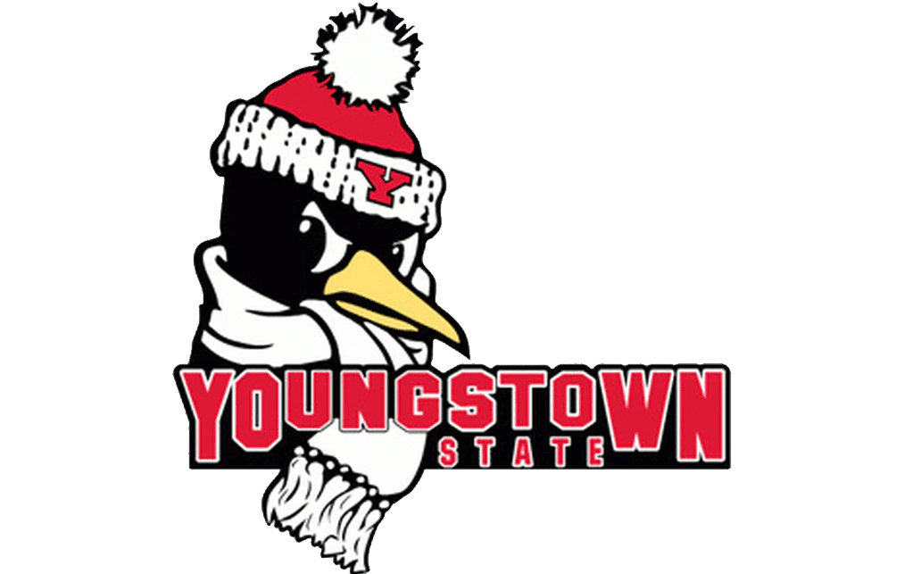 Youngstown State Penguins Logo and symbol, meaning, history, PNG, brand