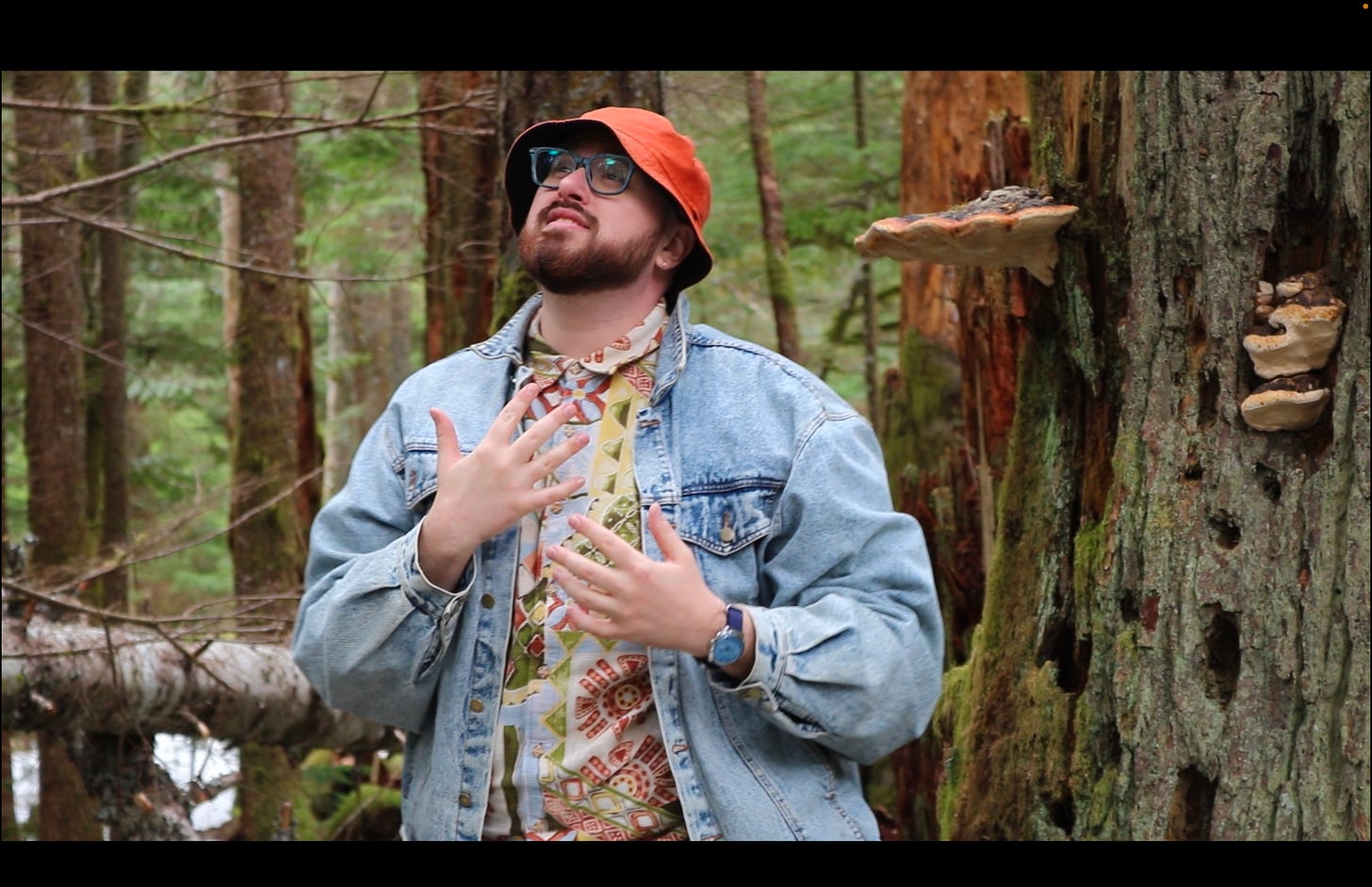 still image take from the death only comes when i'm awake music video of me singing in the foreground with an absolute king size mushroom protruding out the side of a tree behind me.
