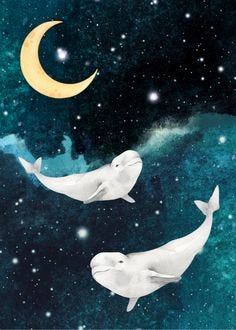 This may contain: two narwhales floating in the sky at night