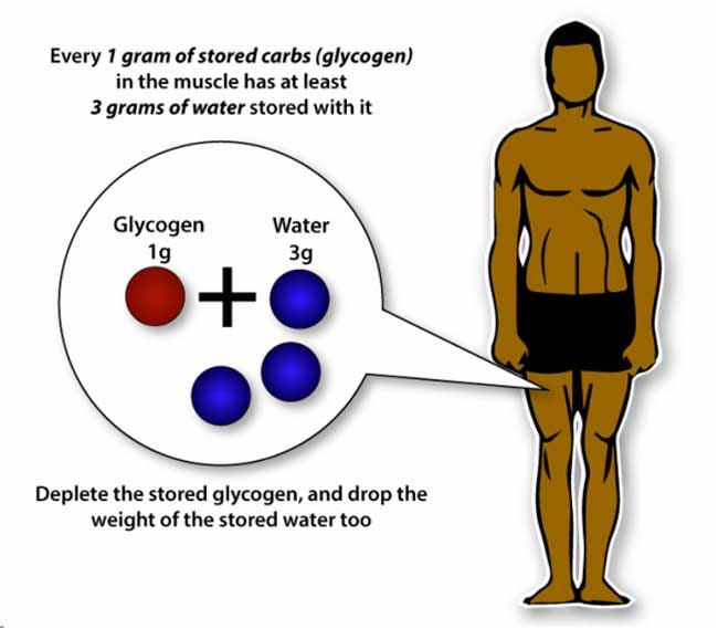 glycogen water