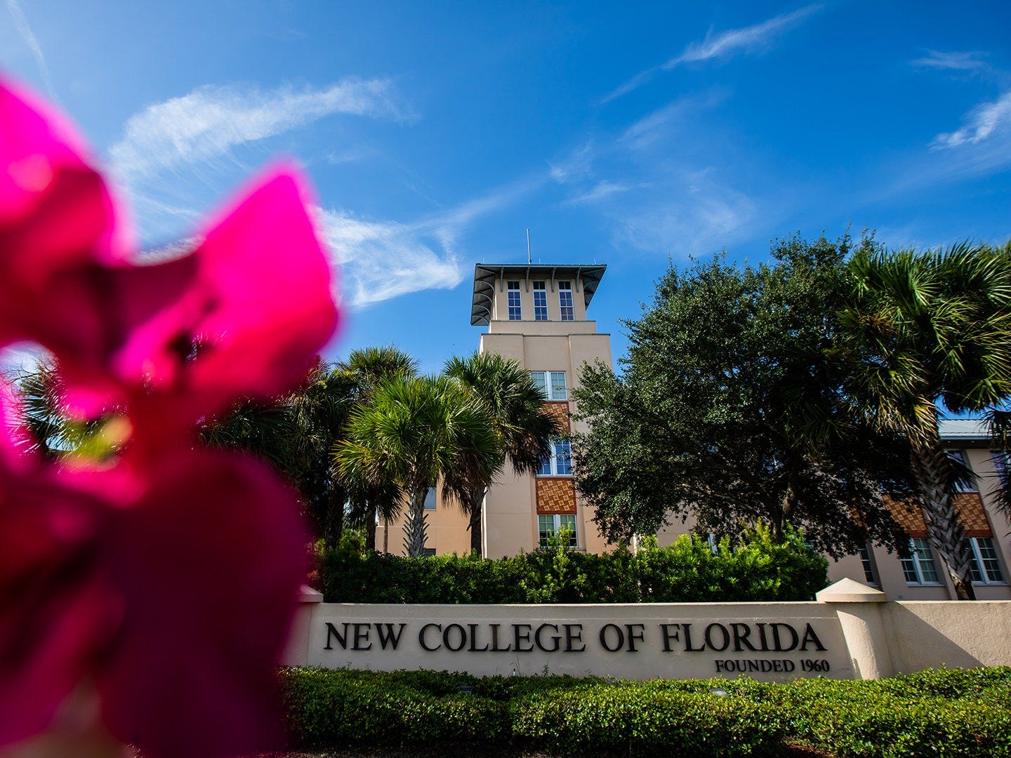 DeSantis-Appointed Board Abolishes the New College of Florida's Gender  Studies Major | Them