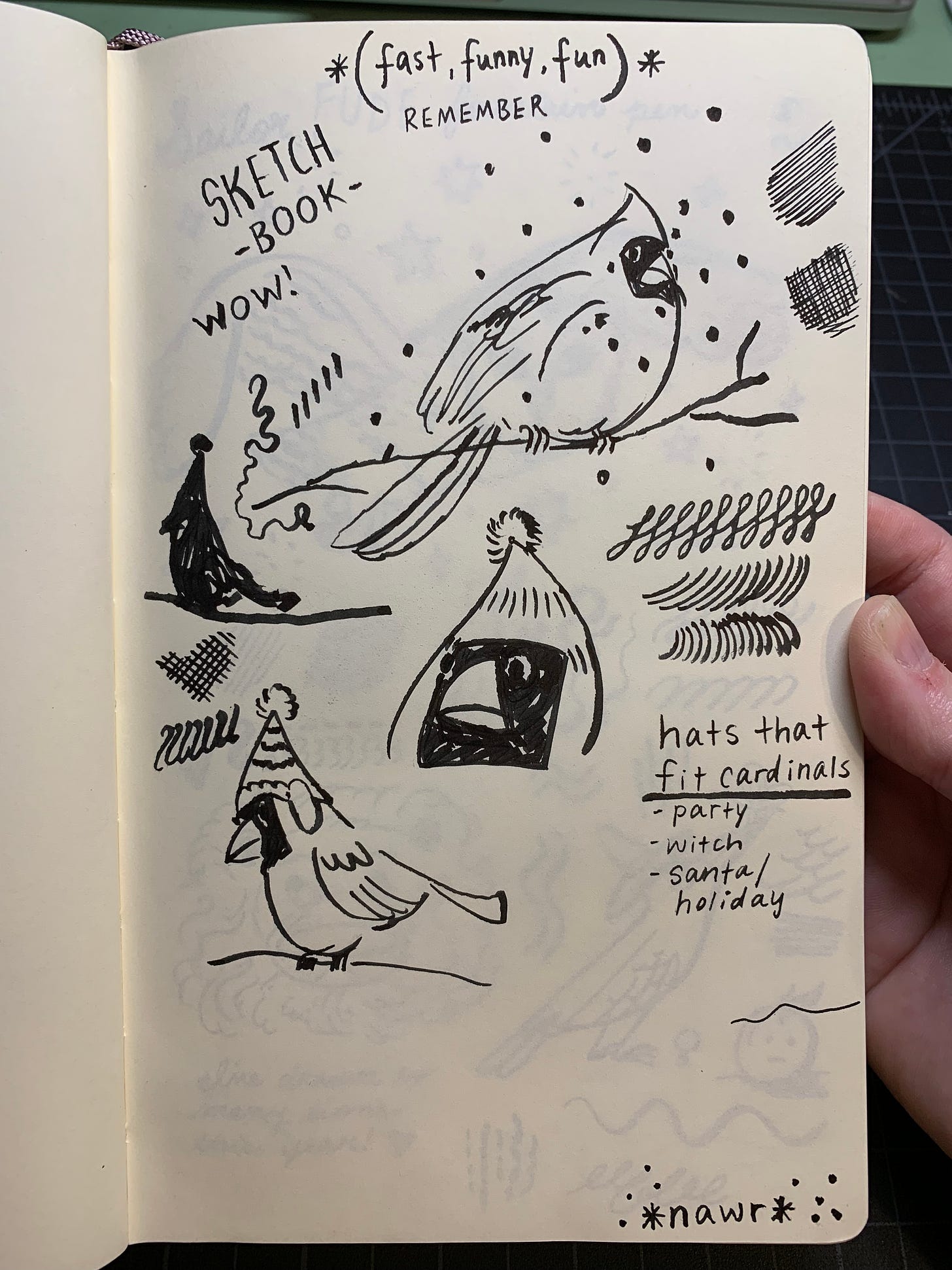 extra sketch of cardinals birds using the Sailor FUDE fountain pen by Kayla Stark