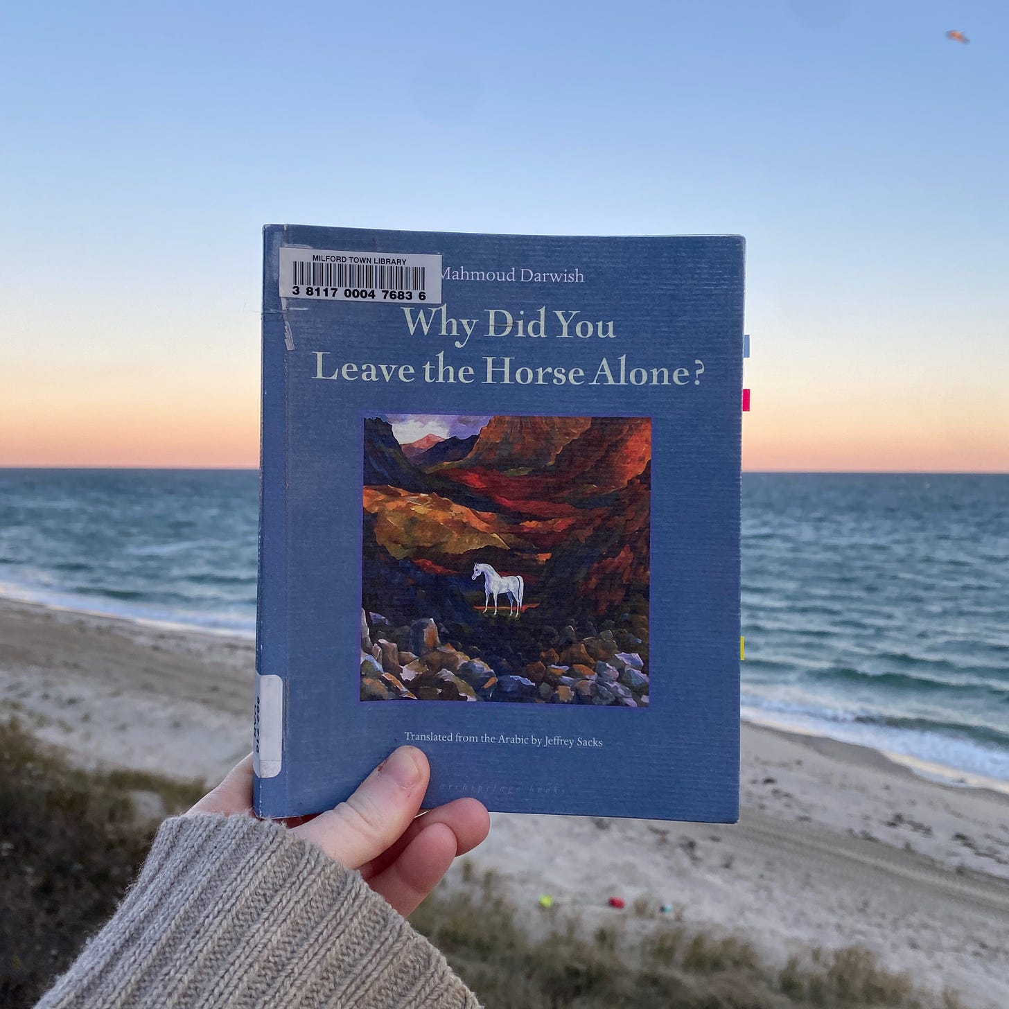 I’m holding this book up in front of the ocean at sunrise.