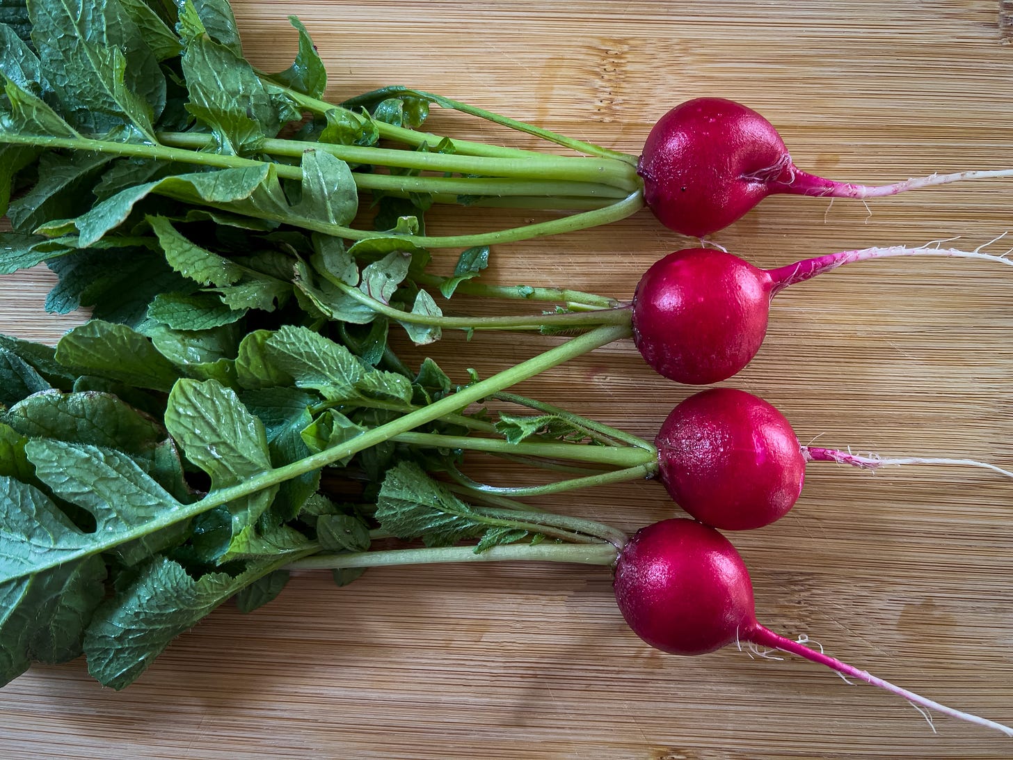 Four red radishes with their stems  and roots laying side-by-side on a wooden cutting board