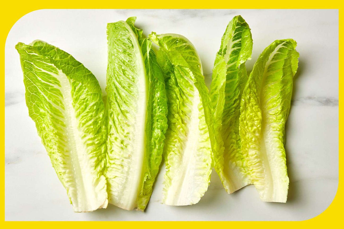 Why Does Lettuce Turn Pink When You Cut It? (And Is it Safe to Eat?)