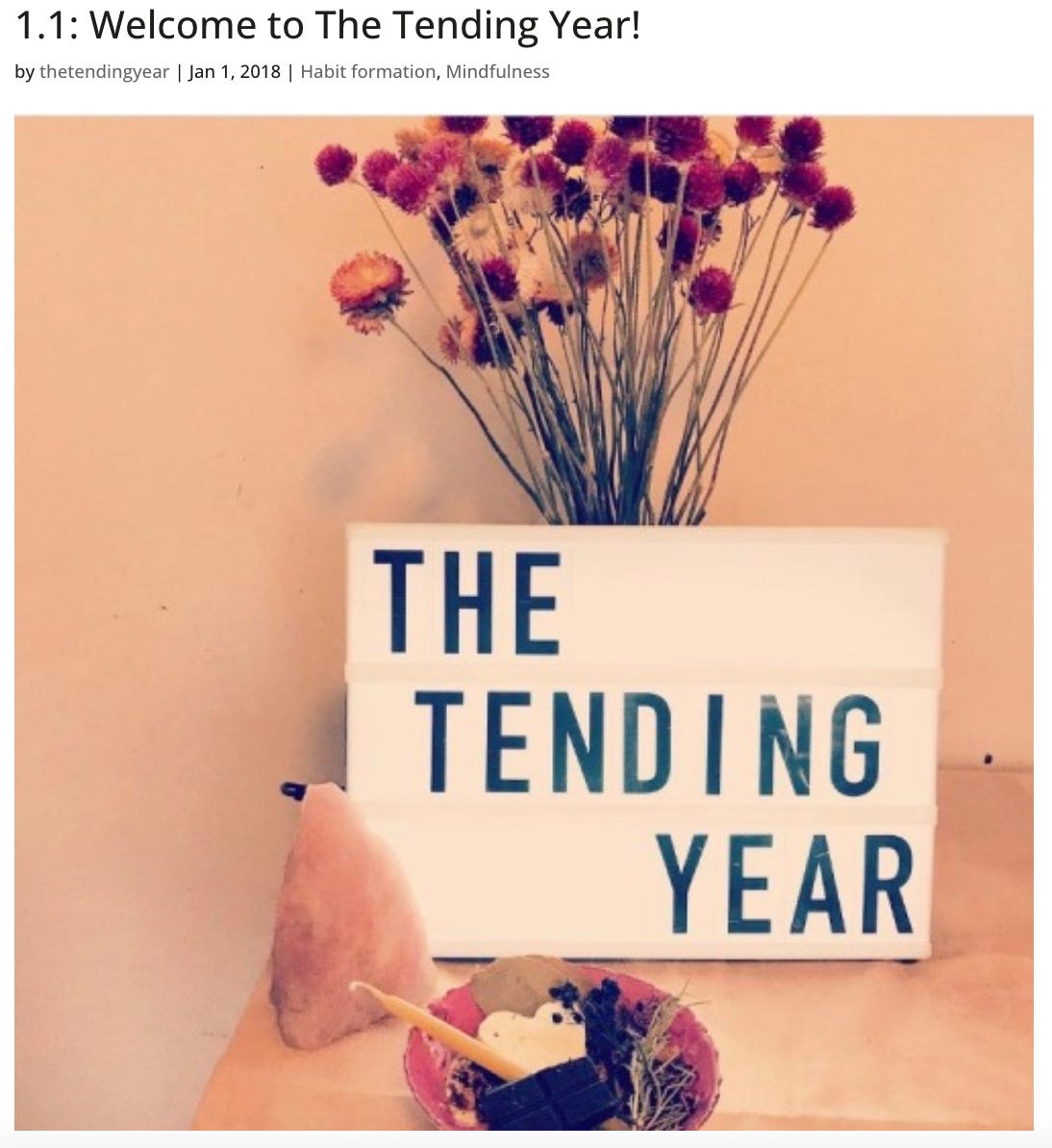 Screenshot of Kate’s very first blog post in 2018! Image shows a light box that says “The Tending Year,” a chunk of rose quartz, a vase of dried flowers, and a bowl with flowers and a candle.