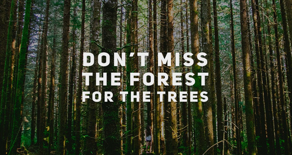 Miscellaneous Monday - Seeing the forest for the t...