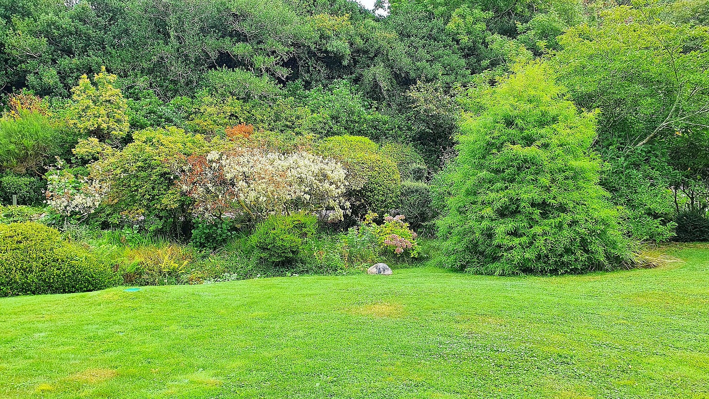 A view of the lovely gardens