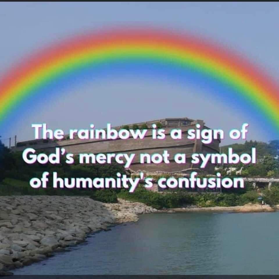 May be an image of text that says 'The rainbow is a sign of God's mercy not a symbol of humanity S confusion Pp'