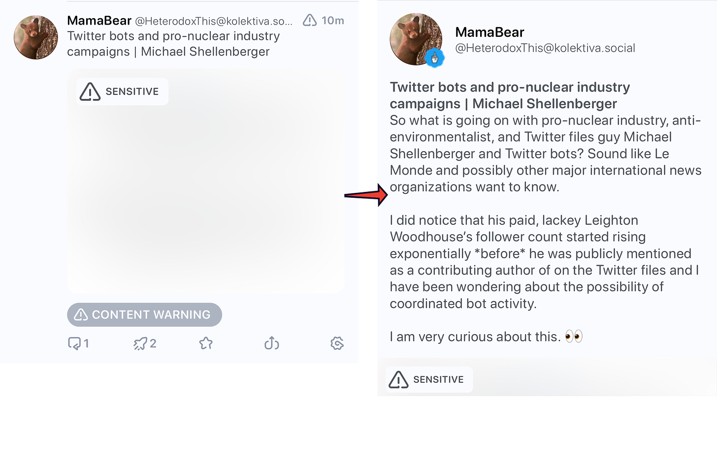 Mastodon post: "Twitter bots and pro-nuclear industry campaigns" with a "Sensitive" label, which then opens to a description accusing someone of being the beneficiary of "coordinated bot activity".