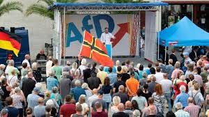 German far-right party surges on immigrant 'dystopia'