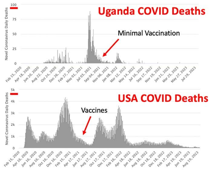 uganda usa covid deaths