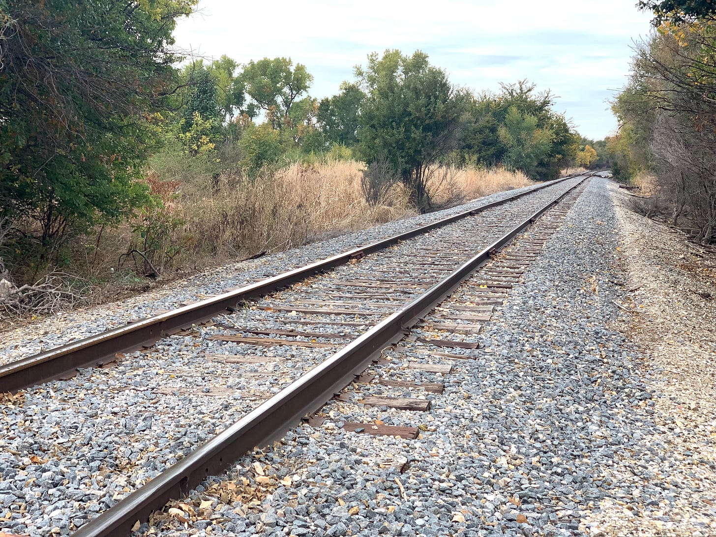 Empty train tracks, trees on either side