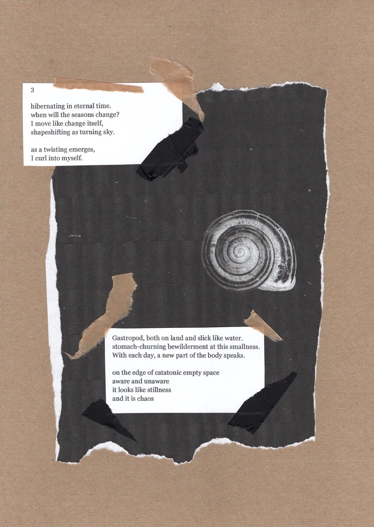 The third part, cut into two stanzas of black text on white paper and taped with scraps of black and brown tape onto a photocopy of a black background with a snail shell. This is framed by brown paper.