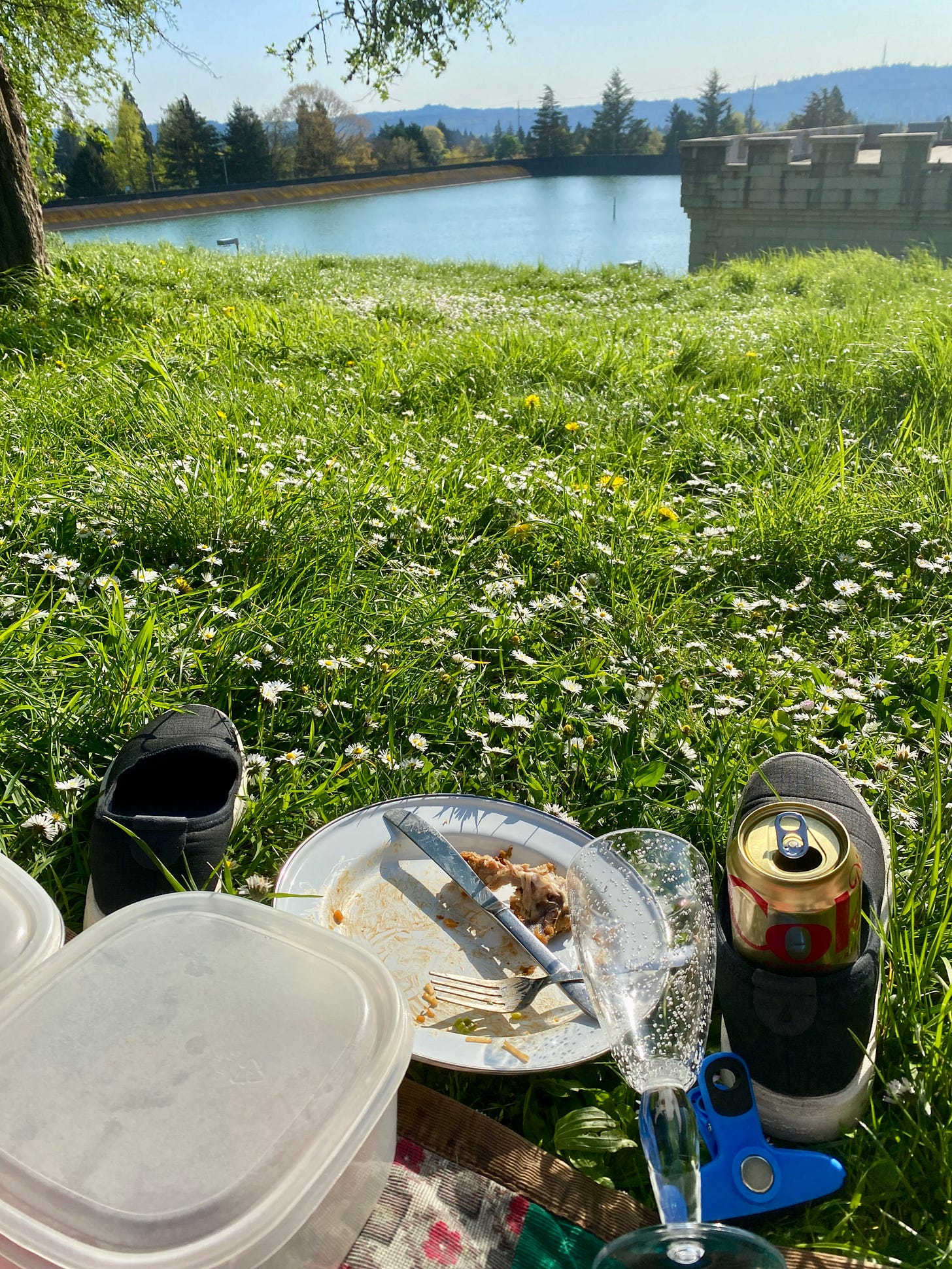 Field above a reservoir. Remnants of a picnic in the foreground.